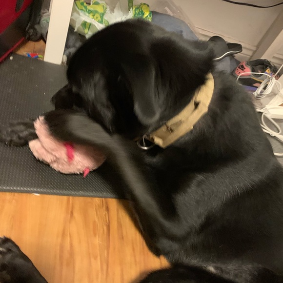 Meet your Posher, John - Picture 3 of 4